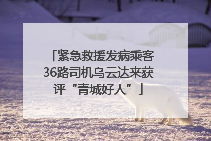 紧急救援发病乘客 36路司机乌云达来获评“青城好人”