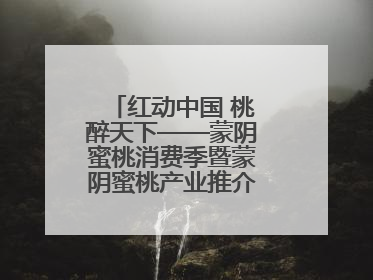 红动中国 桃醉天下——蒙阴蜜桃消费季暨蒙阴蜜桃产业推介会成功举办