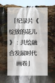纪录片《绽放的花儿》：共绘融合发展时代画卷