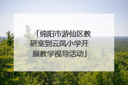 绵阳市游仙区教研室到云凤小学开展教学视导活动