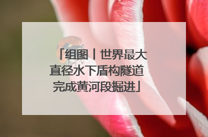 组图丨世界最大直径水下盾构隧道完成黄河段掘进