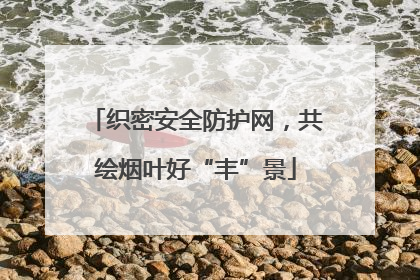 织密安全防护网，共绘烟叶好“丰”景