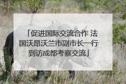 促进国际交流合作 法国沃昂沃兰市副市长一行到访成都考察交流