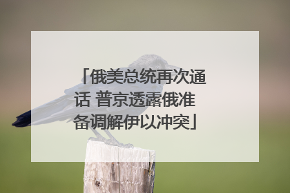 俄美总统再次通话 普京透露俄准备调解伊以冲突