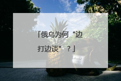 俄乌为何“边打边谈”？