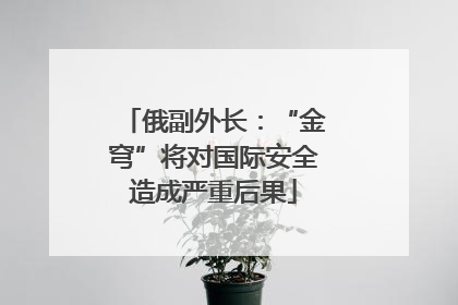 俄副外长：“金穹”将对国际安全造成严重后果