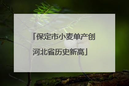 保定市小麦单产创河北省历史新高