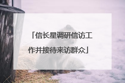 信长星调研信访工作并接待来访群众
