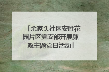余家头社区安胜花园片区党支部开展廉政主题党日活动