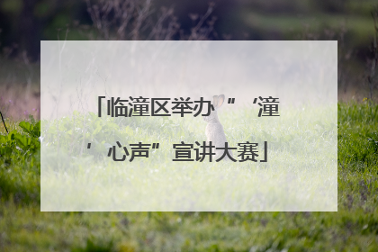 临潼区举办“‘潼’心声”宣讲大赛