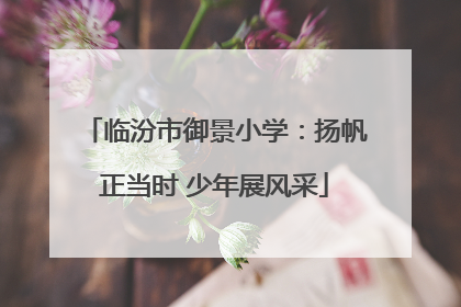临汾市御景小学：扬帆正当时 少年展风采