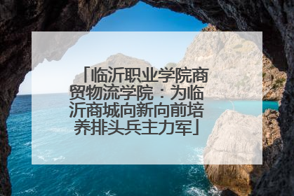 临沂职业学院商贸物流学院：为临沂商城向新向前培养排头兵主力军