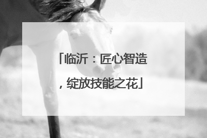 临沂：匠心智造，绽放技能之花