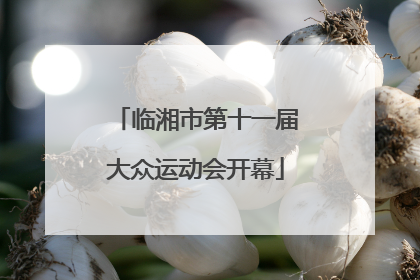 临湘市第十一届大众运动会开幕