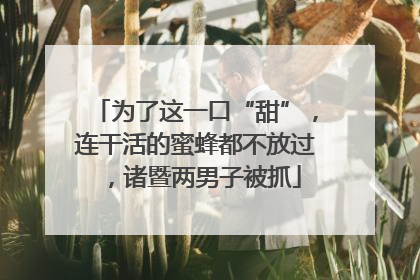 为了这一口“甜”，连干活的蜜蜂都不放过，诸暨两男子被抓