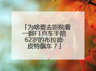 为啥要去影院看一群F1真车手陪62岁的布拉德·皮特飙车？