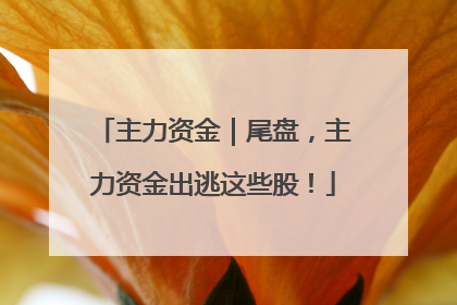 主力资金｜尾盘，主力资金出逃这些股！