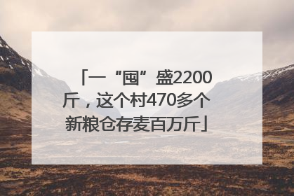 一“囤”盛2200斤，这个村470多个新粮仓存麦百万斤