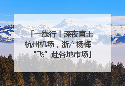 一线行丨深夜直击杭州机场，浙产杨梅“飞”赴各地市场