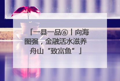 一县一品⑥丨向海图强，金融活水滋养舟山“致富鱼”