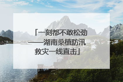 一刻都不敢松劲——湖南桑植防汛救灾一线直击