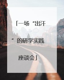 一场“出汗”的研学实践座谈会