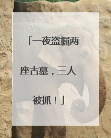 一夜盗掘两座古墓，三人被抓！
