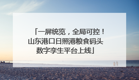 一屏统览，全局可控！山东港口日照港粮食码头数字孪生平台上线