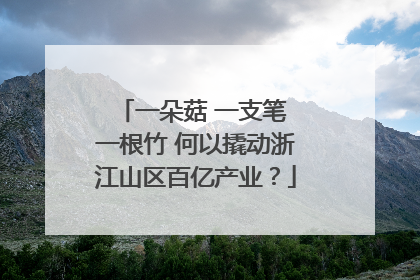 一朵菇 一支笔 一根竹 何以撬动浙江山区百亿产业？