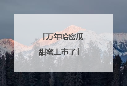 万年哈密瓜甜蜜上市了