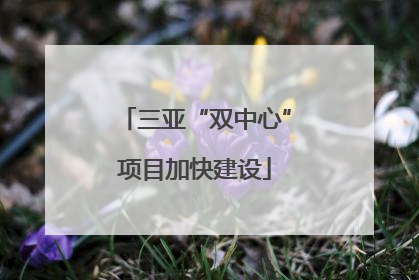 三亚“双中心”项目加快建设