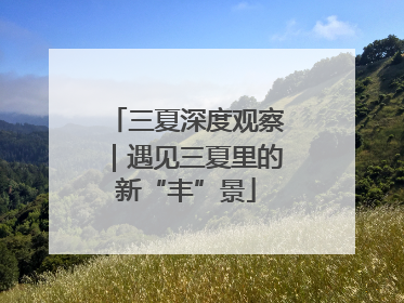 三夏深度观察｜遇见三夏里的新“丰”景