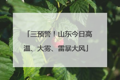 三预警！山东今日高温、大雾、雷暴大风