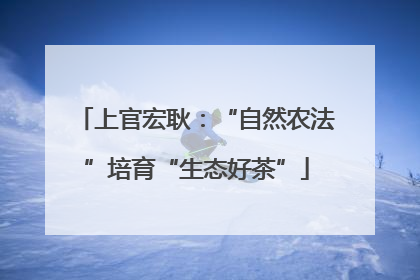 上官宏耿：“自然农法”培育“生态好茶”