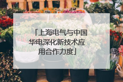 上海电气与中国华电深化新技术应用合作力度