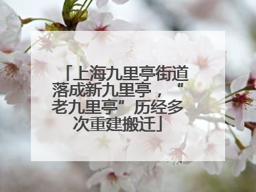 上海九里亭街道落成新九里亭，“老九里亭”历经多次重建搬迁