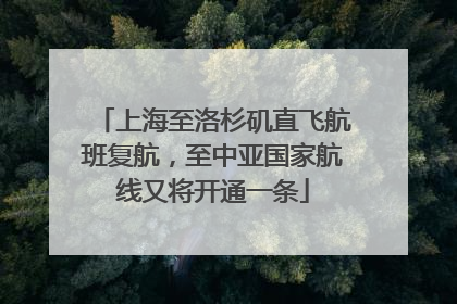 上海至洛杉矶直飞航班复航，至中亚国家航线又将开通一条