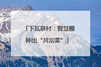 下瓦泉村：智慧棚种出“共富菜”