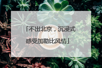 不出北京，沉浸式感受加勒比风情