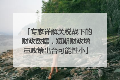 专家详解关税战下的财政数据，短期财政增量政策出台可能性小