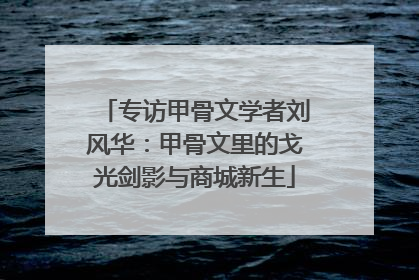 专访甲骨文学者刘风华：甲骨文里的戈光剑影与商城新生