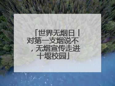 世界无烟日丨对第一支烟说不，无烟宣传走进十堰校园