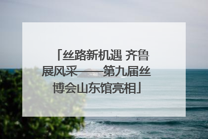 丝路新机遇 齐鲁展风采——第九届丝博会山东馆亮相