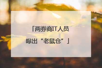 两券商IT人员曝出“老鼠仓”