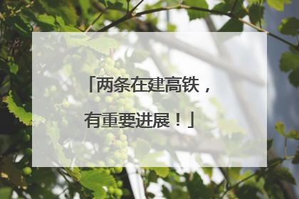 两条在建高铁，有重要进展！