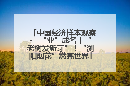 中国经济样本观察·一“业”成名丨“老树发新芽”！“浏阳烟花”燃亮世界