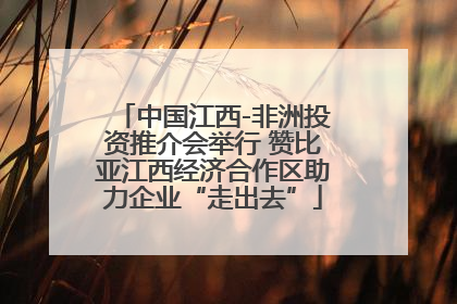 中国江西-非洲投资推介会举行 赞比亚江西经济合作区助力企业“走出去”