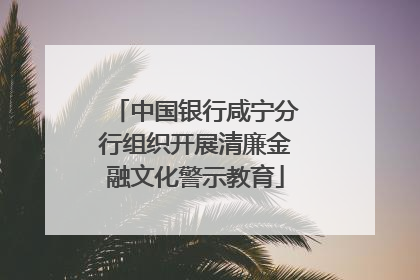 中国银行咸宁分行组织开展清廉金融文化警示教育