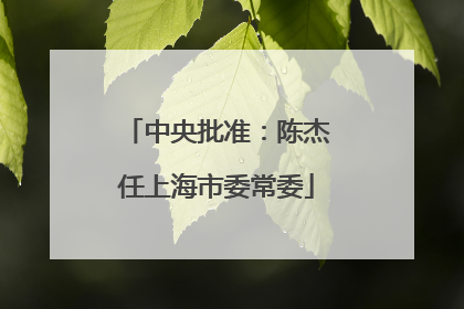中央批准：陈杰任上海市委常委