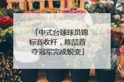 中式台球球员锦标赛收杆，陈喆首夺冠军完成蜕变